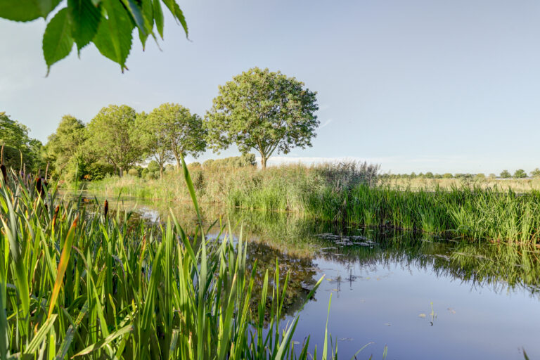 Sleeuwijk – Acacialaan 9