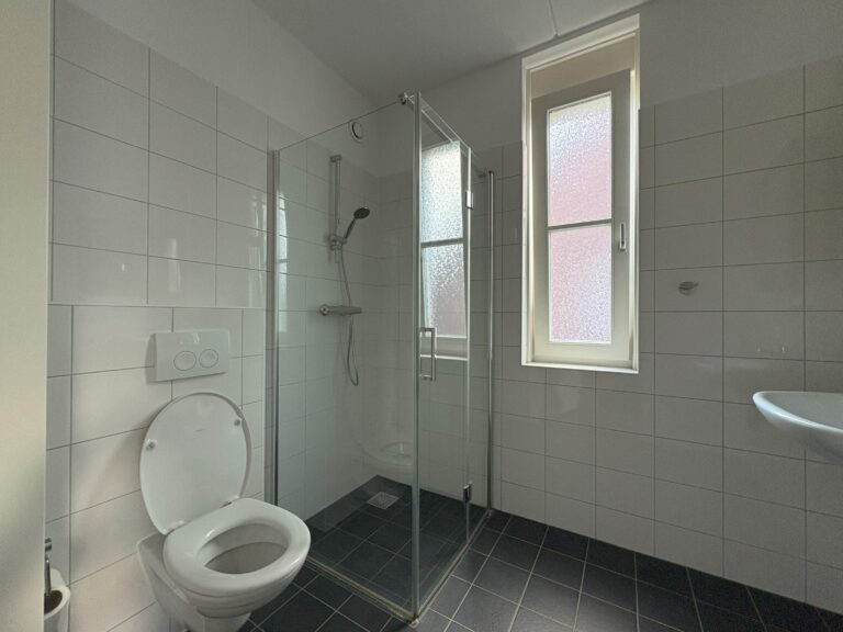 Rijswijk (nb) – Drie Zalmen 43