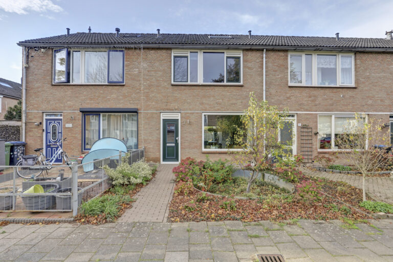 Hank – Reigerspad 3