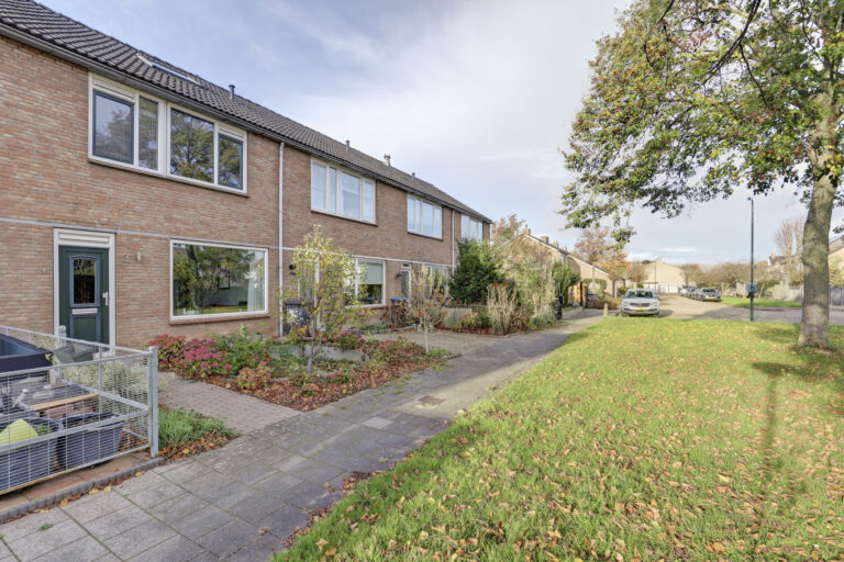 Hank – Reigerspad 3