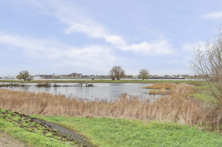 Werkendam – Biezengors 52