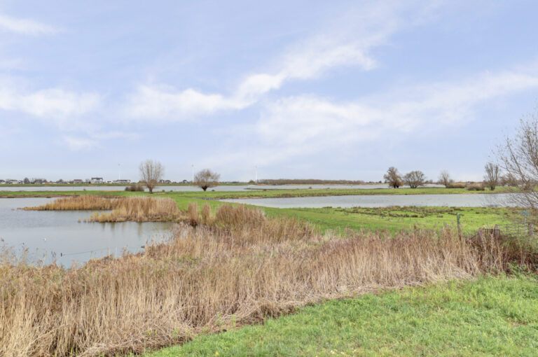 Werkendam – Biezengors 52