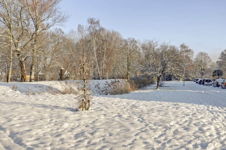 Raamsdonksveer – Zeldenrustlaan 20